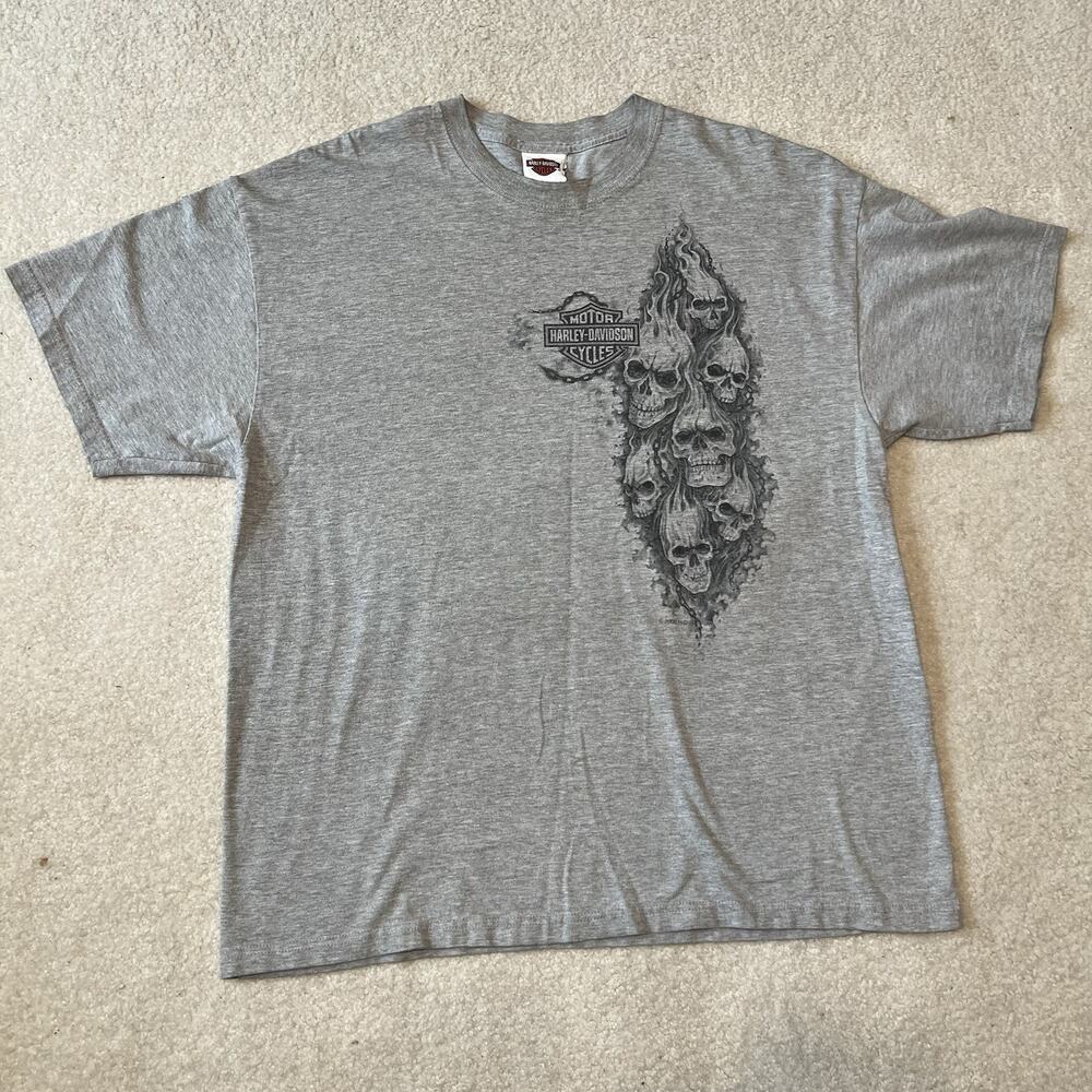 Vintage Harley Davidson Shirt Gray XL Landers Hot Springs Arkansas Skull Flame